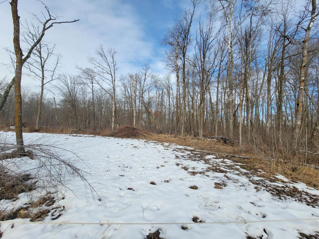 Photo of XXXX Black Bear Drive SW, Motley, MN 56466 (MLS # 7029398)