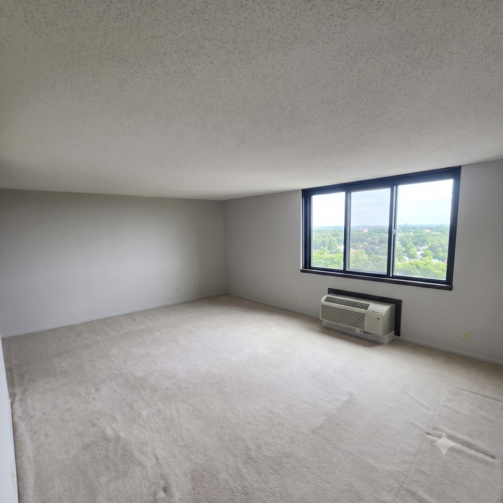 1181 Edgcumbe Road 1412