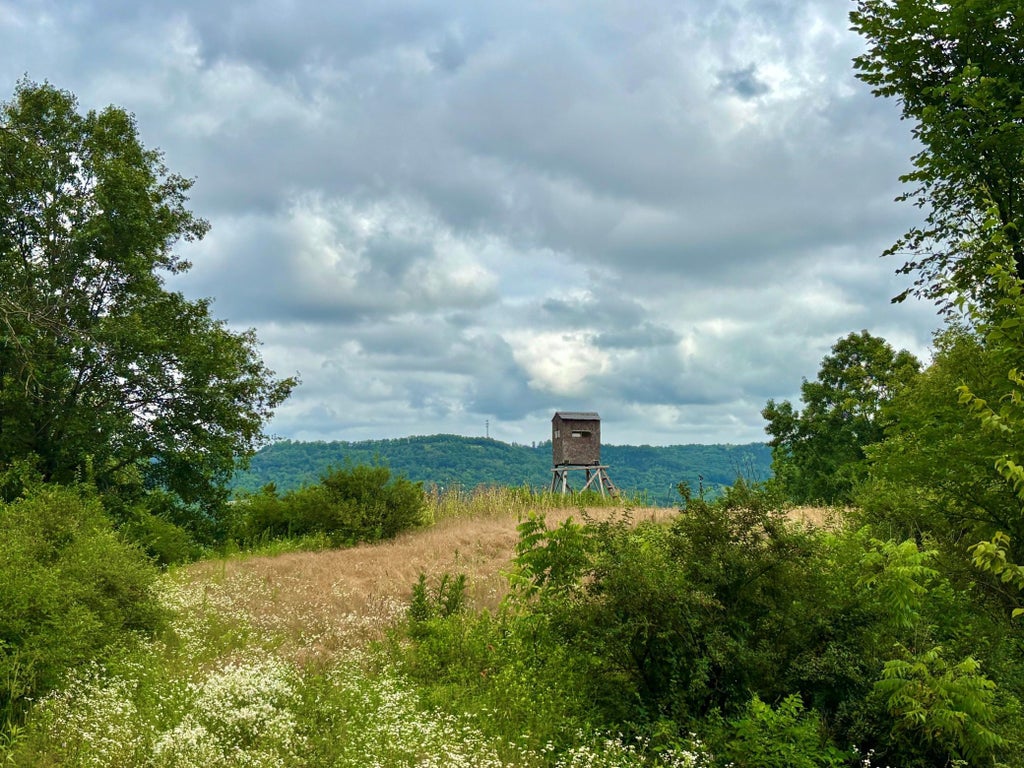 Photo of TBD89 County 13, Houston, MN 55943 (MLS # 7108086)