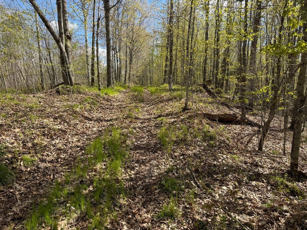 Photo of TBD Leonard Road, Birchwood, WI 54817 (MLS # 7075462)