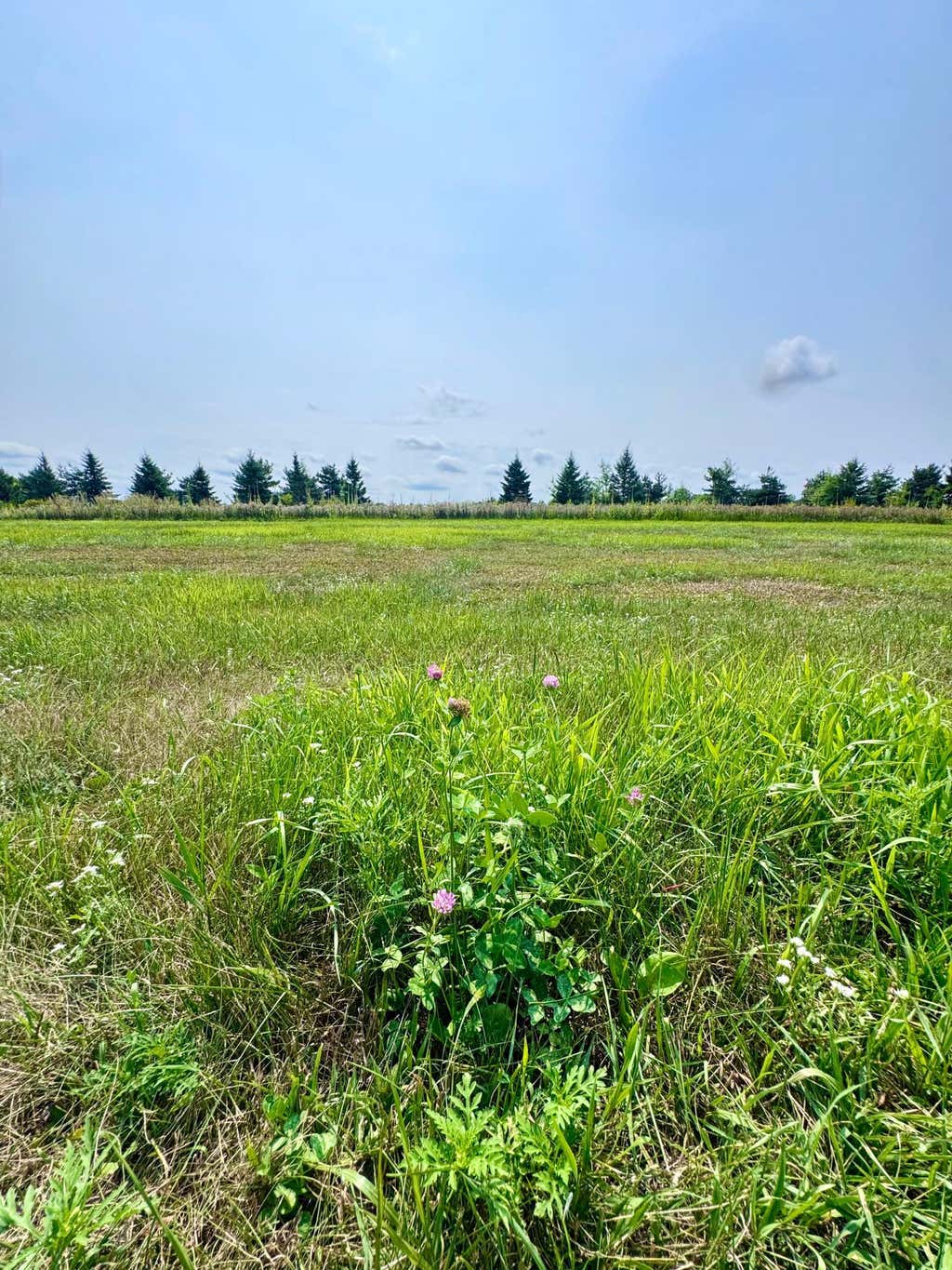Photo of 10933 Grand Lake Road, Cold Spring, MN 56320 (MLS # 7064829)