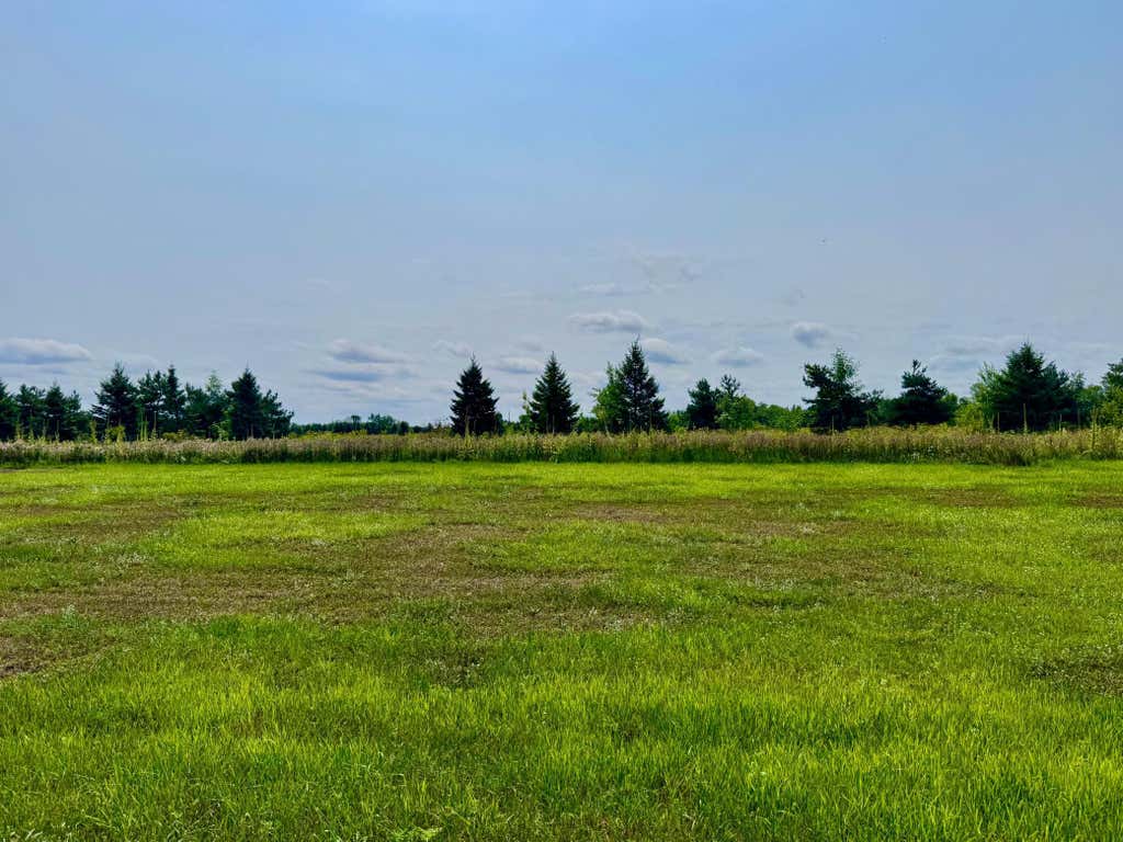 Photo of 10933 Grand Lake Road, Cold Spring, MN 56320 (MLS # 7064829)