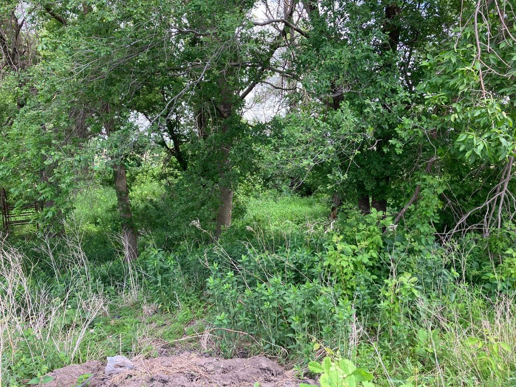 Photo of 3598 W Highway 30, Ellendale, MN 56026 (MLS # 7081662)
