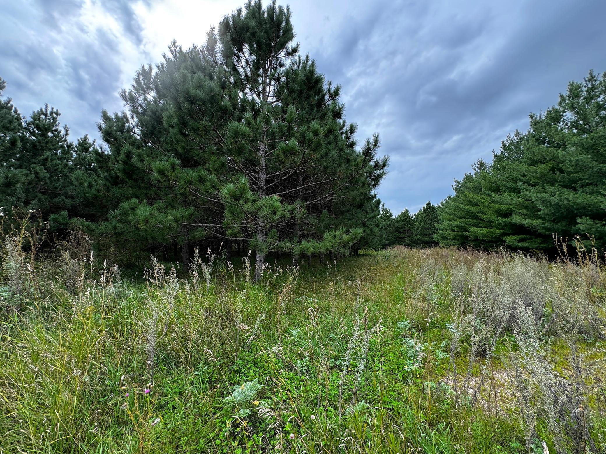 49928 County Highway 54