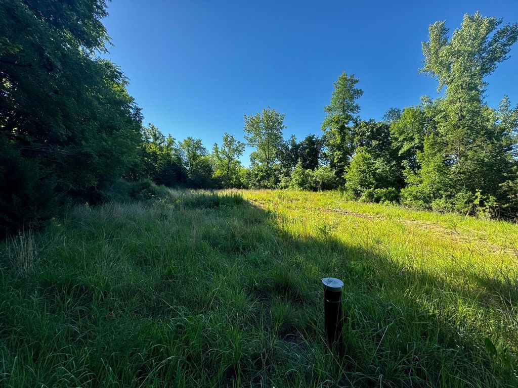 Photo of TBD County Road 51, Franklin, MN 55333 (MLS # 7097177)