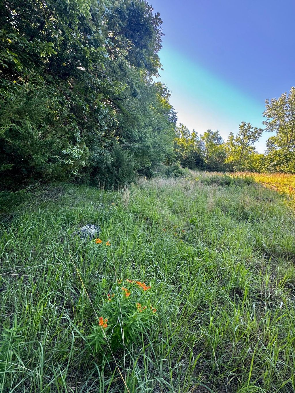 Photo of TBD County Road 51, Franklin, MN 55333 (MLS # 7097177)