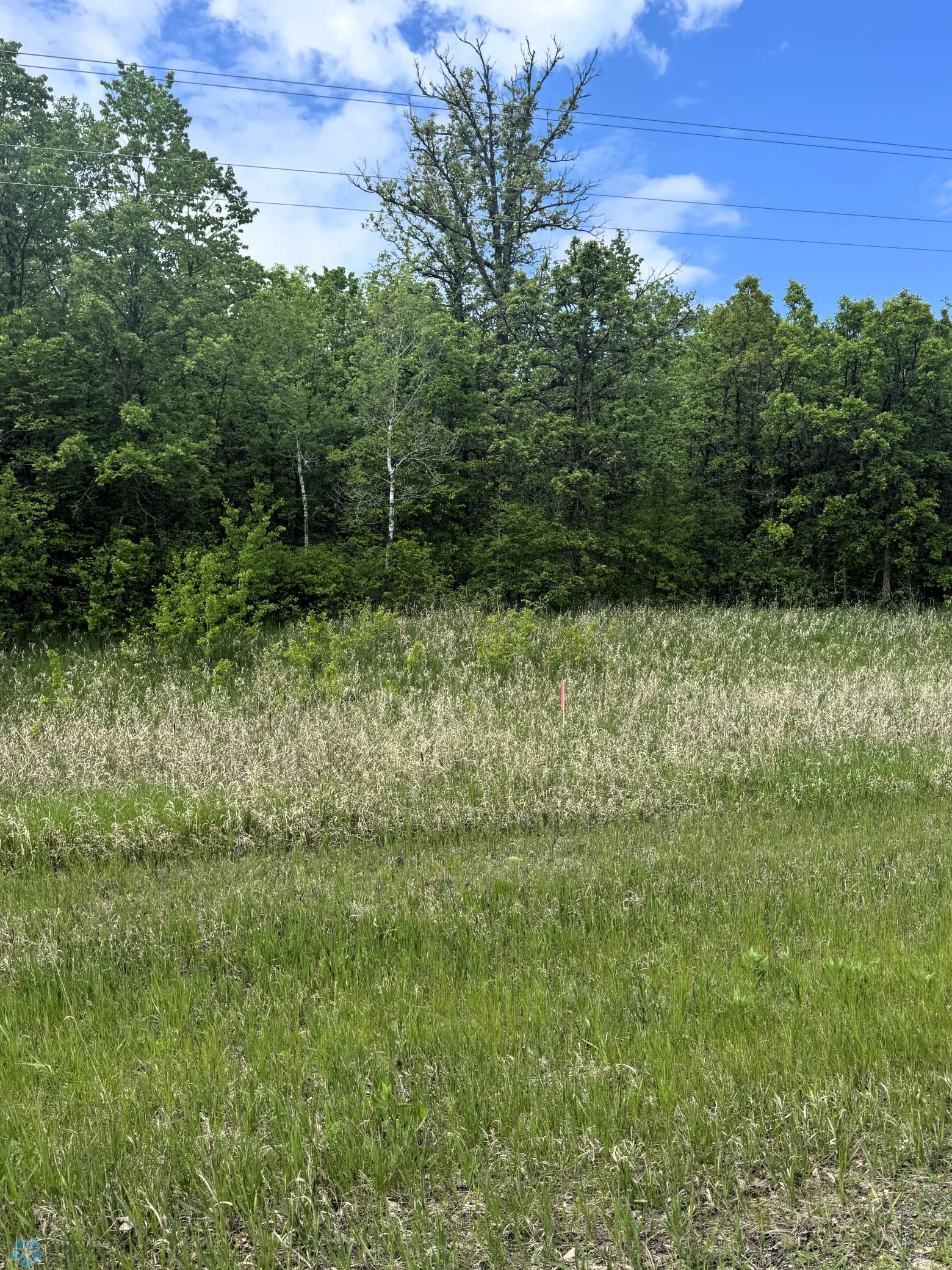 (Lot 1) TBD County Rd 4
