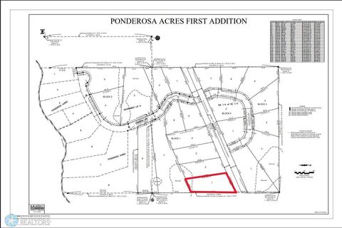 (Lot 1) TBD County Rd 4 Little Elbow Twp MN 56589