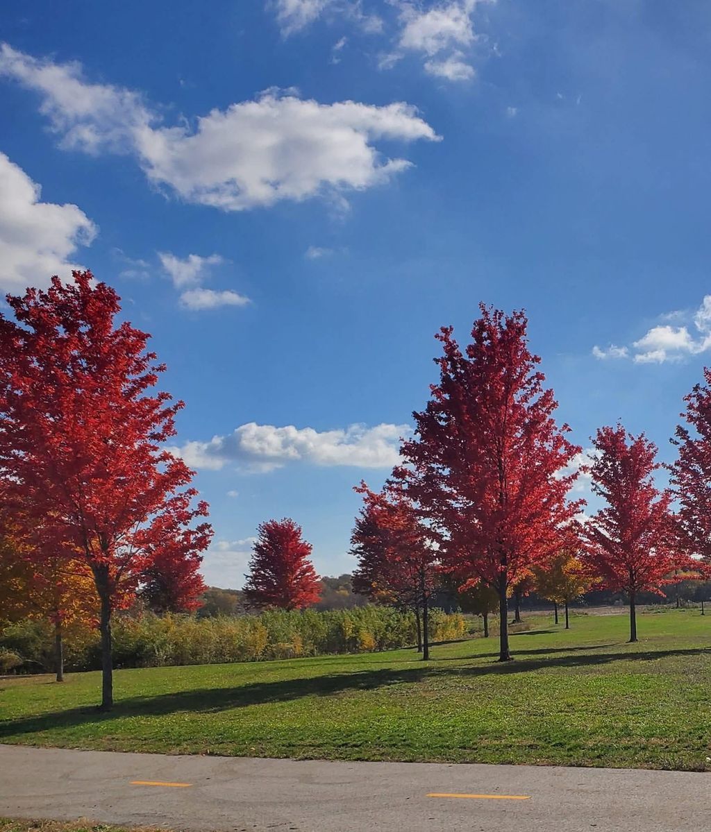Photo of 4039 Mallard Place SE, Rochester, MN 55904 (MLS # 7049809)