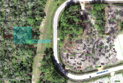 0-0 Sparrow Court Poinciana FL 34759