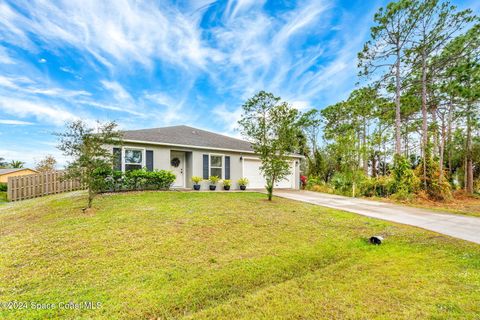 A home in Palm Bay