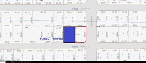 217 Lafleur Street SW Palm Bay FL 32908