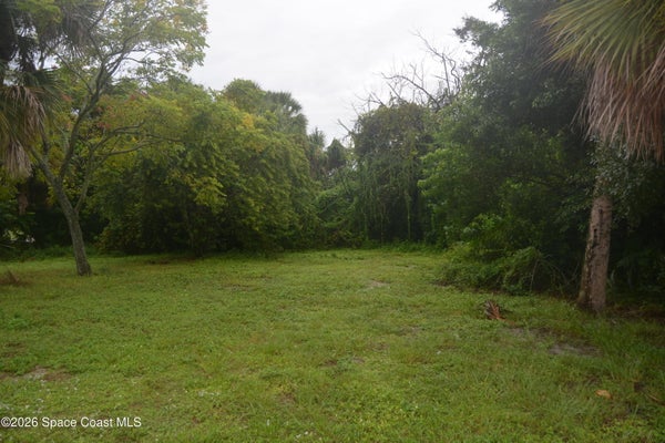 134 ROSA L JONES DR, COCOA, FL 32922 - Image 06af9bfe3b1ca291eb7b3bd40d3507df/2807119111