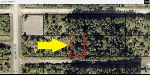 771 Kingfisher Street SW Palm Bay FL 32908