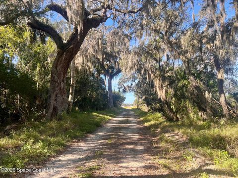 0000 Flounder Creek Road Mims FL 32754