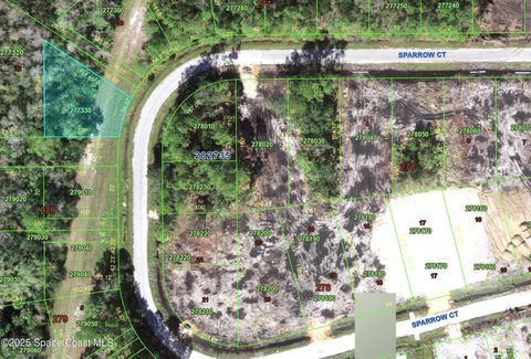 000 Sparrow Court Poinciana FL 34759