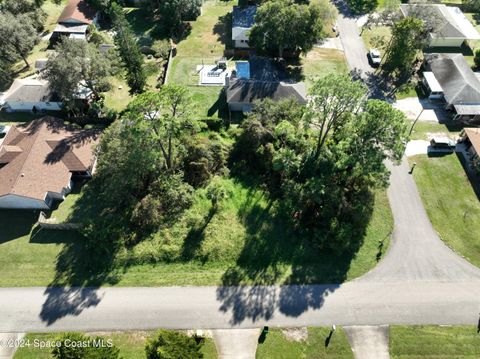 6643 Emil Avenue Port Saint John FL 32927