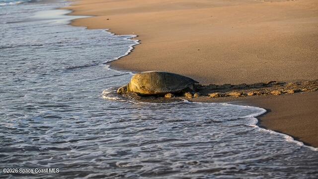 7135 S Highway A1a D