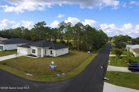 Property photo of 2906 Wilkinson Avenue Se, Palm Bay, FL 32909