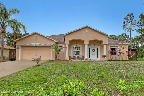 A home in Palm Bay