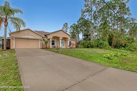 A home in Palm Bay