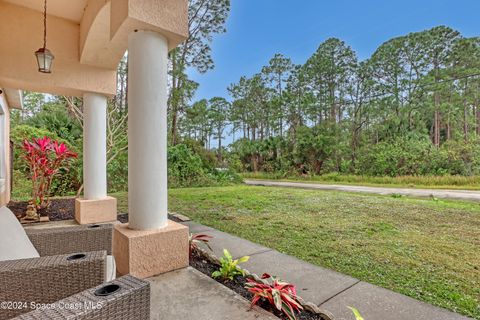 A home in Palm Bay