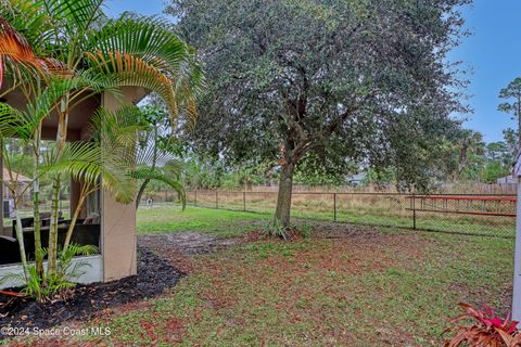 A home in Palm Bay