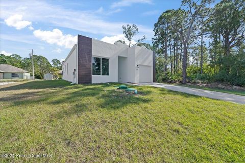 A home in Palm Bay