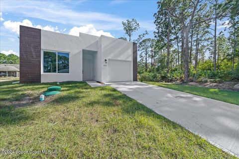 A home in Palm Bay