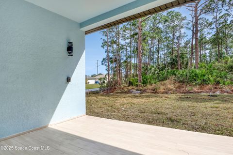 A home in Palm Bay