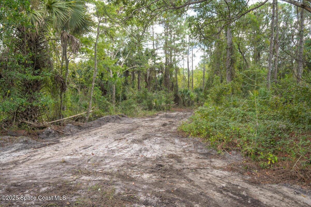 0000 Blounts Ridge Road