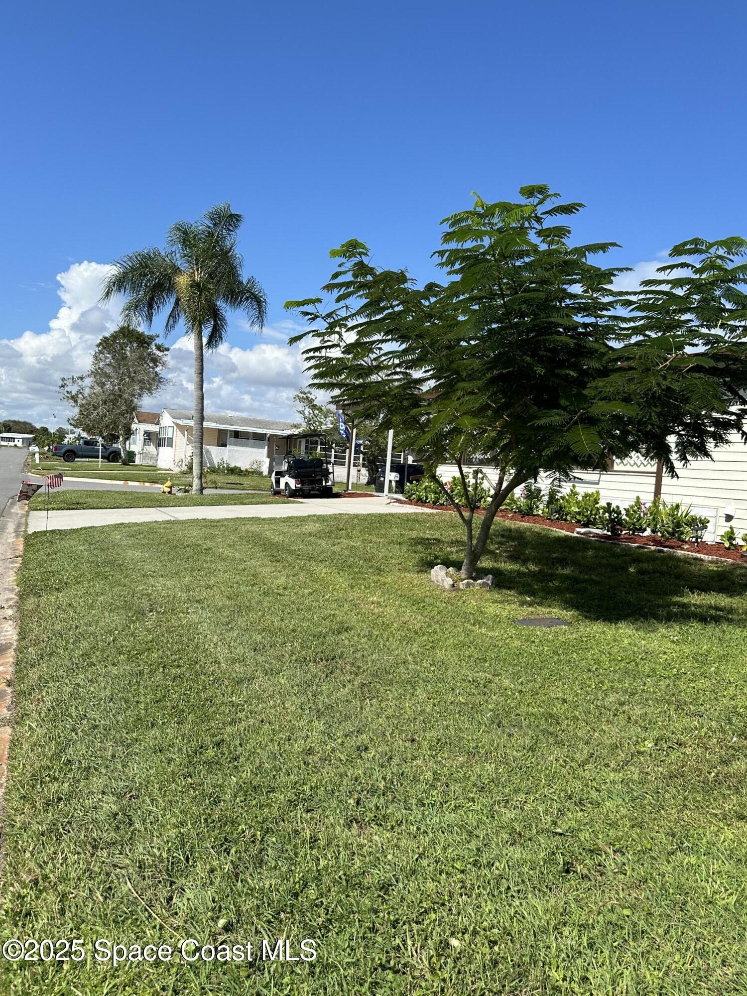1201 Areca Drive