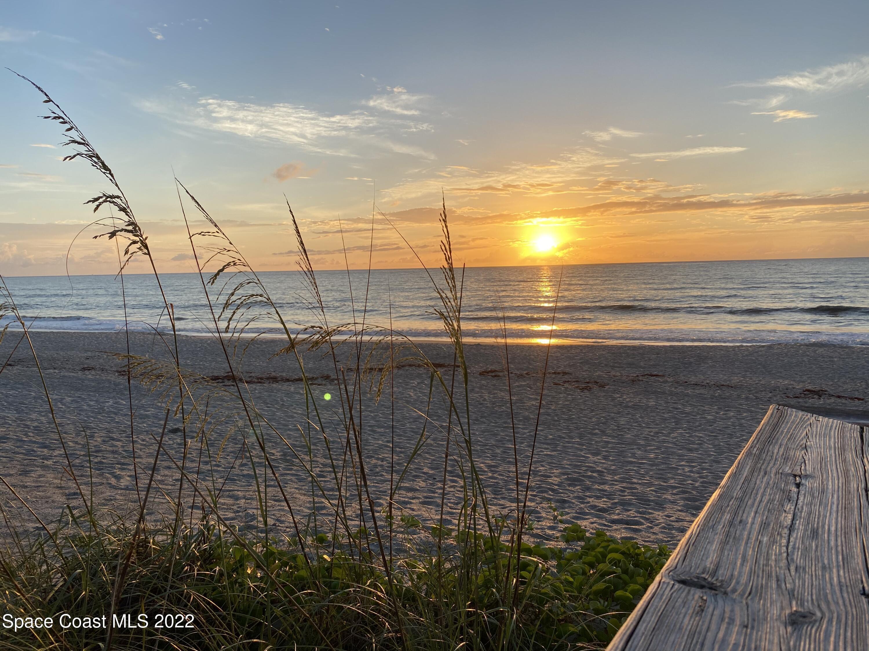 917 Jamestown Avenue 100