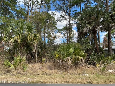 485 Gephart Street SW Palm Bay FL 32908