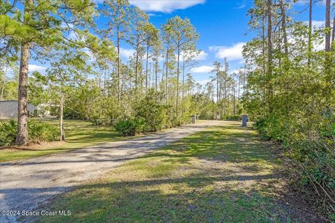 listing image 64