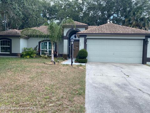 A home in Palm Bay