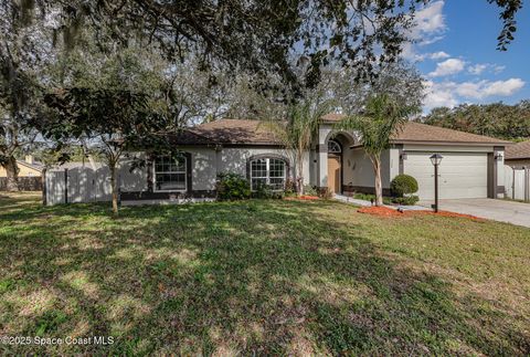 A home in Palm Bay