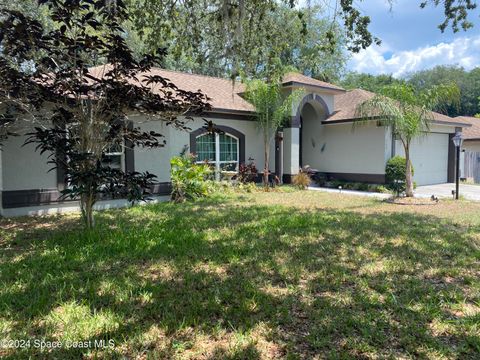 A home in Palm Bay