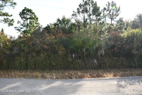 2865 Anjar Avenue SW Palm Bay FL 32908