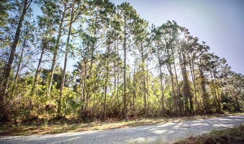 2695 Trinity Avenue SE Palm Bay FL 32909
