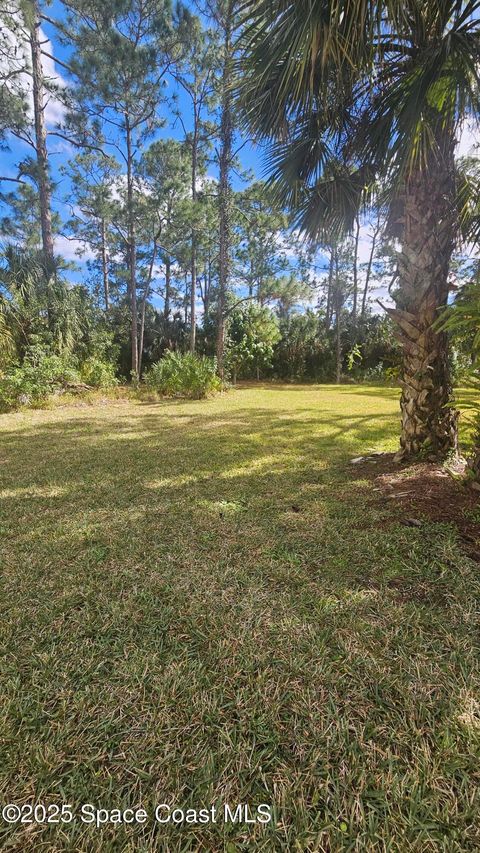 A home in Palm Bay