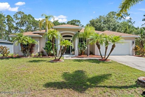 471 Hallmark Street SE Palm Bay FL 32909