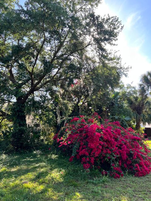 A home in Cocoa