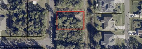 2699 Fitzpatrick Avenue SW Palm Bay FL 32908