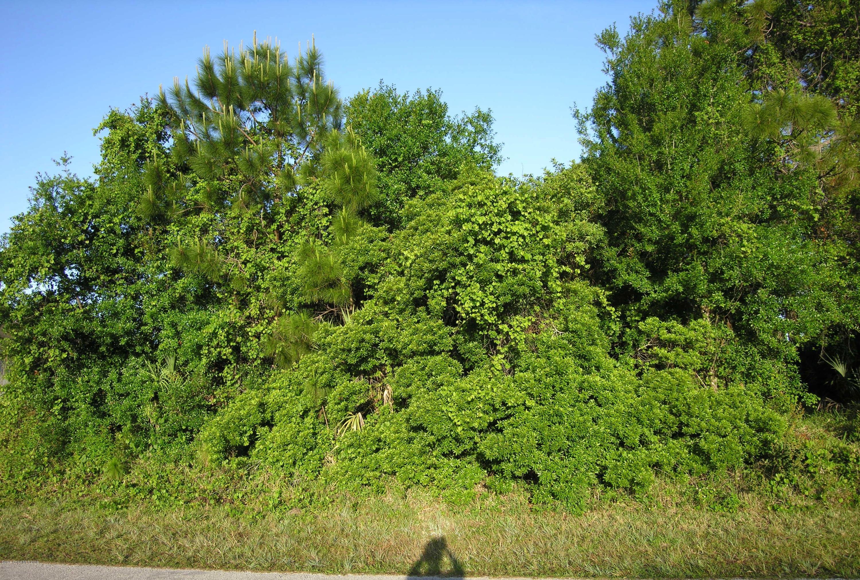 Photo 1 of 6 — 450 Cremona Avenue NW, Palm Bay, FL 32907