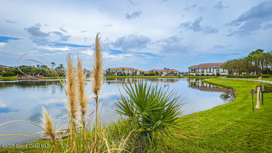 6470 Borasco Drive 3108