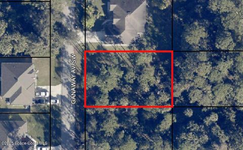 1037 Ganaway Avenue SW Palm Bay FL 32908
