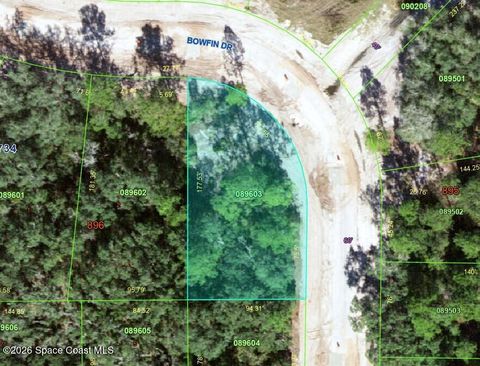 0 Bowfin (Inside Ne Curve) Drive Poinciana FL 34759