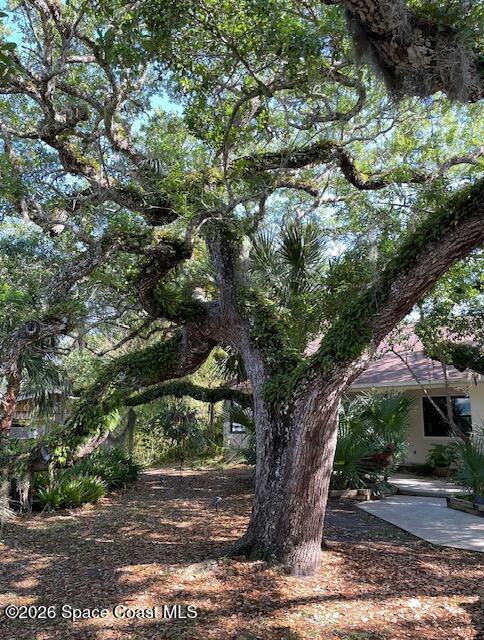 275 Ibis Drive