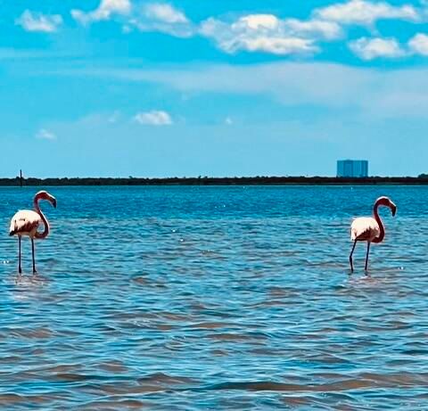 A home in Palm Bay